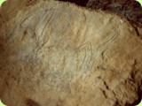 grotta del romito graffito