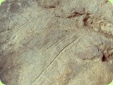 graffito grotta del romito