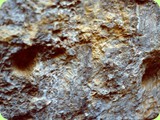 grotta del romito particolare
