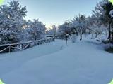 neve_pollino