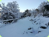 oasi_del_pollino_con_la_neve