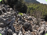 rocce - Oasi del pollino